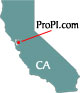 California Private Investigators and Private Investigation